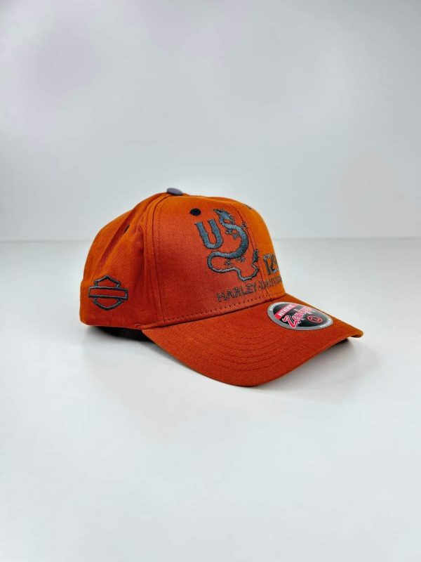 Mens Cap - Image 5